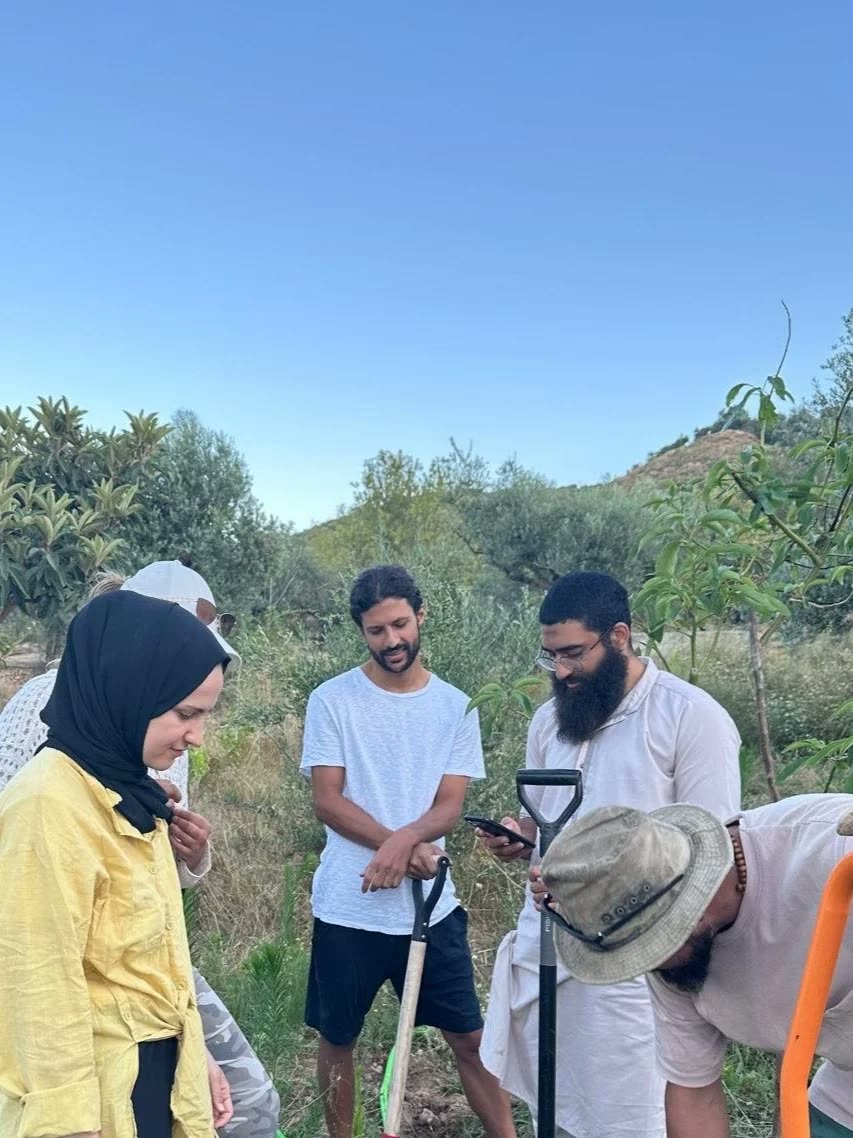 Volunteers working the terraced gardens at Azahara
